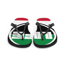 Load image into Gallery viewer, Flip-Flops