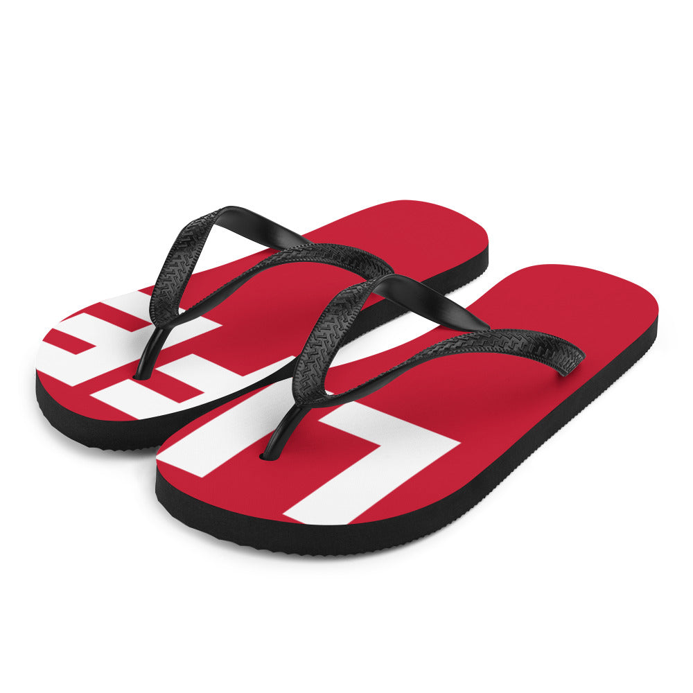 Flip-Flops